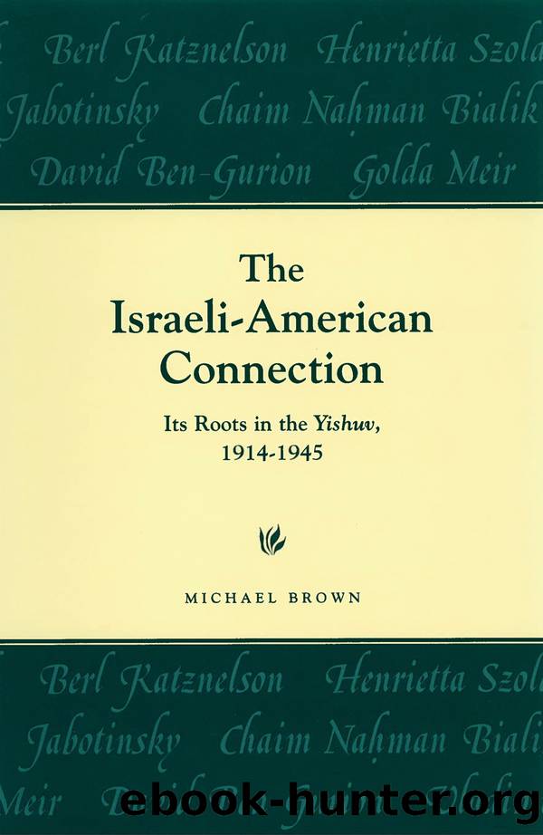The Israeli-American Connection by Brown Michael;