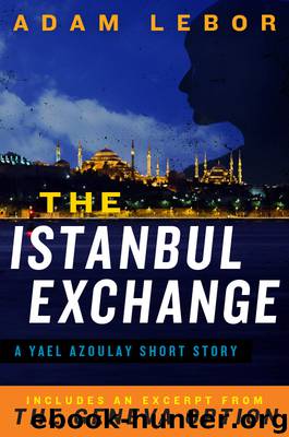 The Istanbul Exchange by Adam LeBor