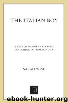 The Italian Boy by Sarah Wise