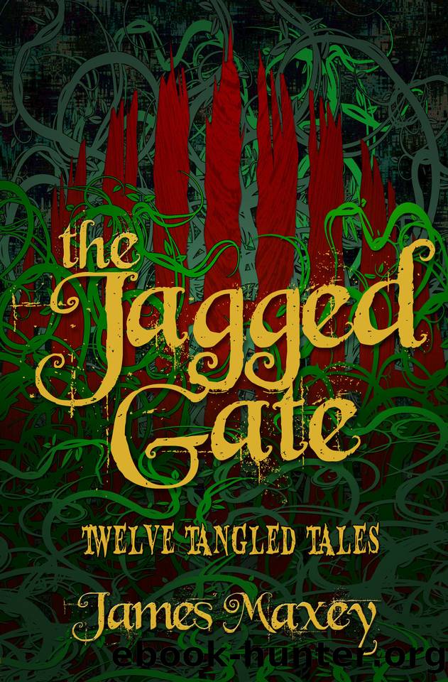 The Jagged Gate: Twelve Tangled Tales (Borderlands Book 2) by Maxey James