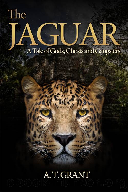 The Jaguar by A.T. Grant