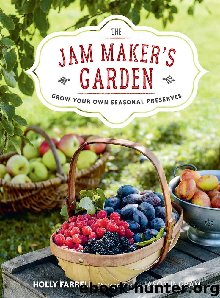 The Jam Maker's Garden by Holly Farrell