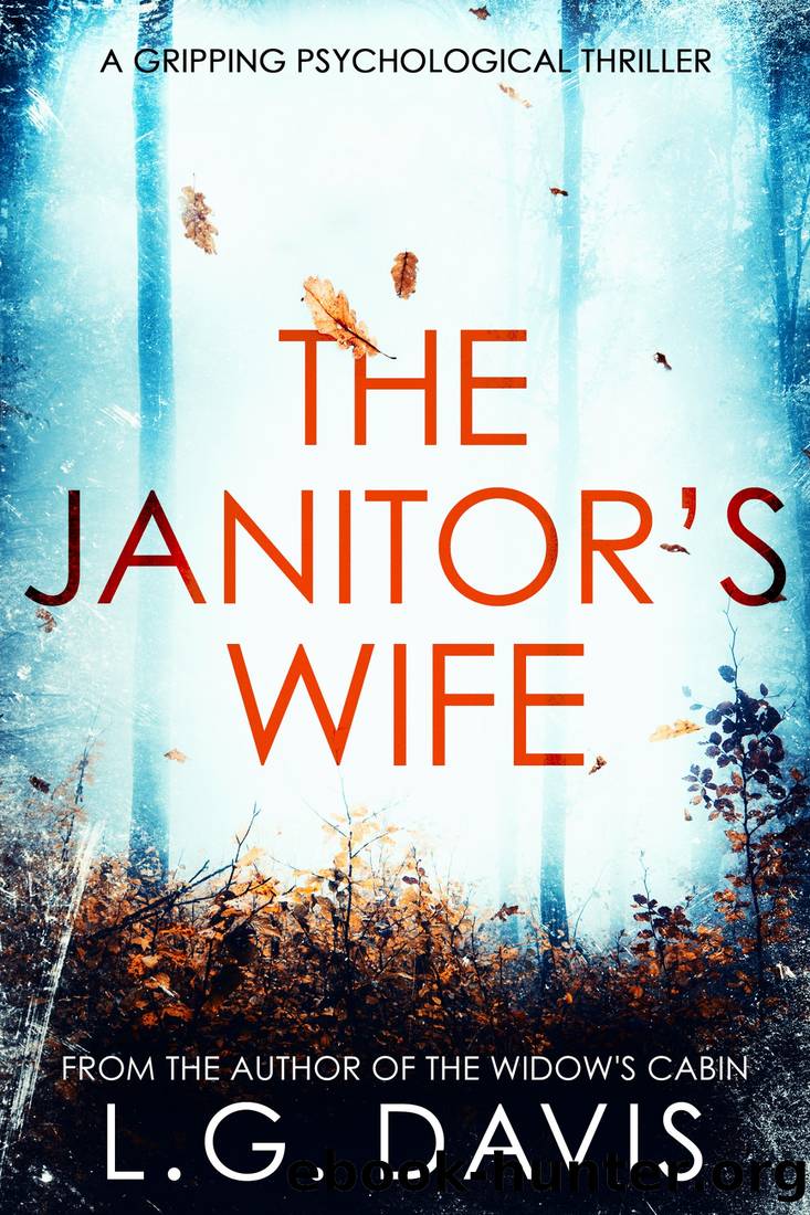 The Janitor's Wife by Davis L. G