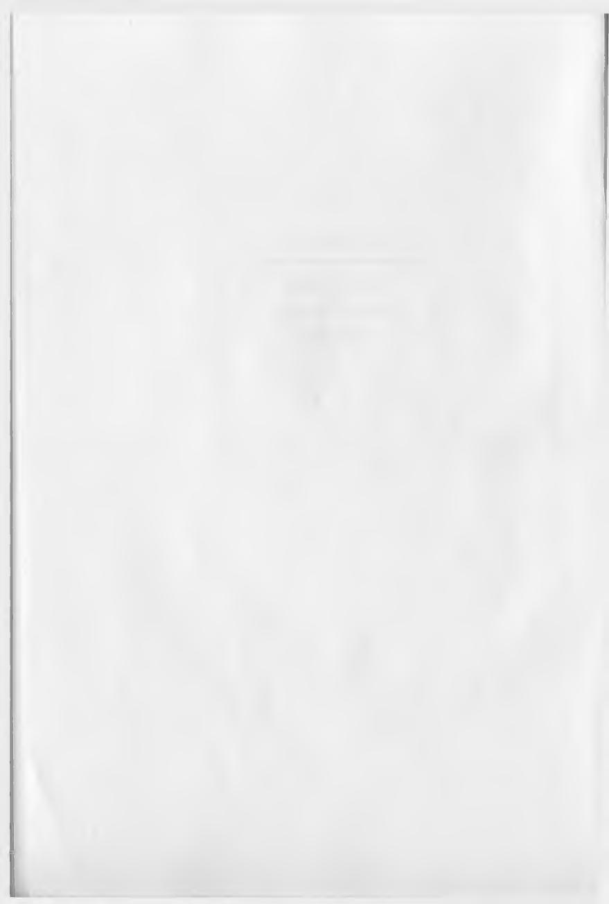 The Japanese prime minister and public policy by Kenji Hayao