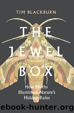 The Jewel Box by Tim Blackburn