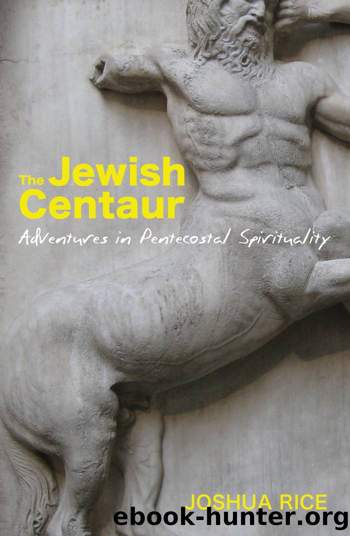 The Jewish Centaur by Rice Joshua;