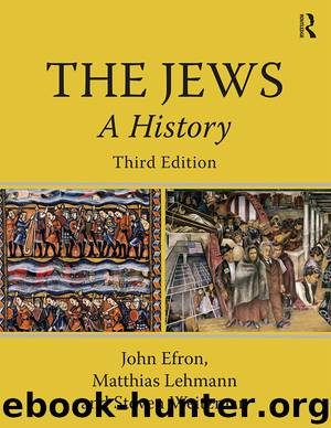 The Jews by John Efron Steven Weitzman Matthias Lehmann & Matthias Lehmann & Steven Weitzman