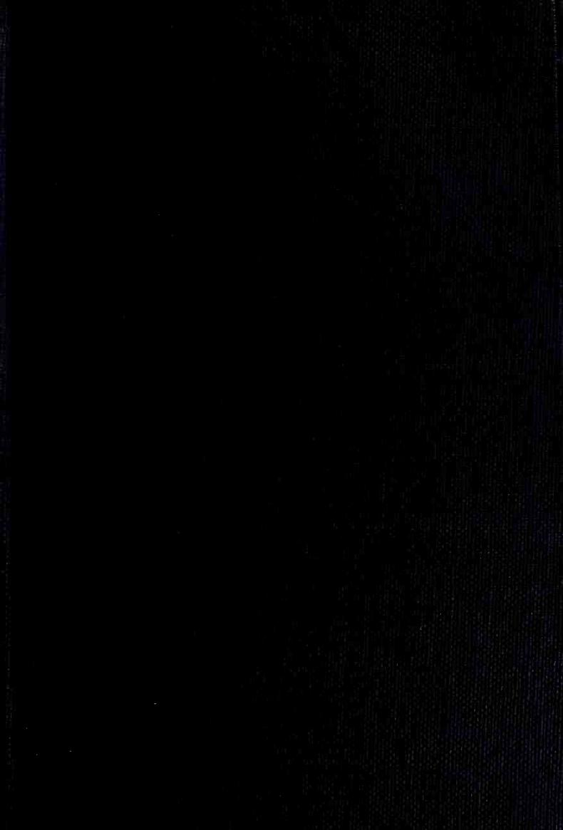 The Jews in the Renaissance (History Art Ebook) by Unknown