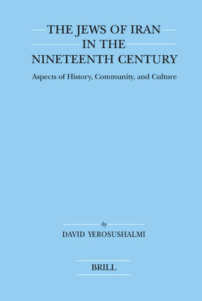The Jews of Iran in the Nineteenth Century (Brill's Series in Jewish Studies. 40) by David Yeroushalmi