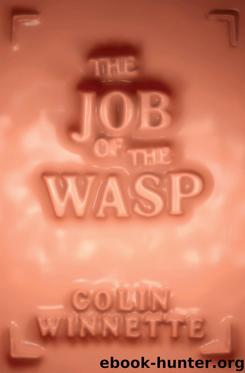 The Job of the Wasp by Colin Winnette