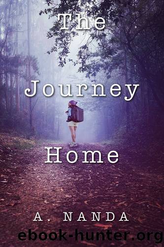 The Journey Home by A. Nanda