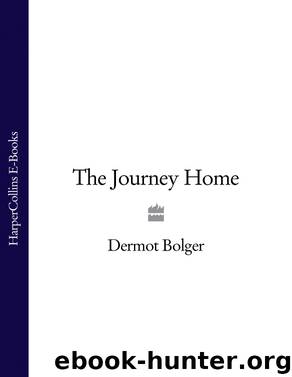The Journey Home by Dermot Bolger