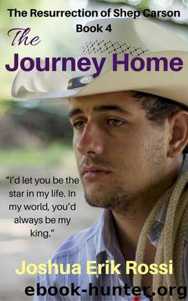 The Journey Home by Joshua Erik Rossi
