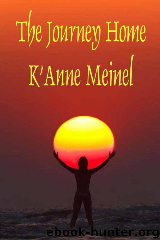 The Journey Home by K'Anne Meinel
