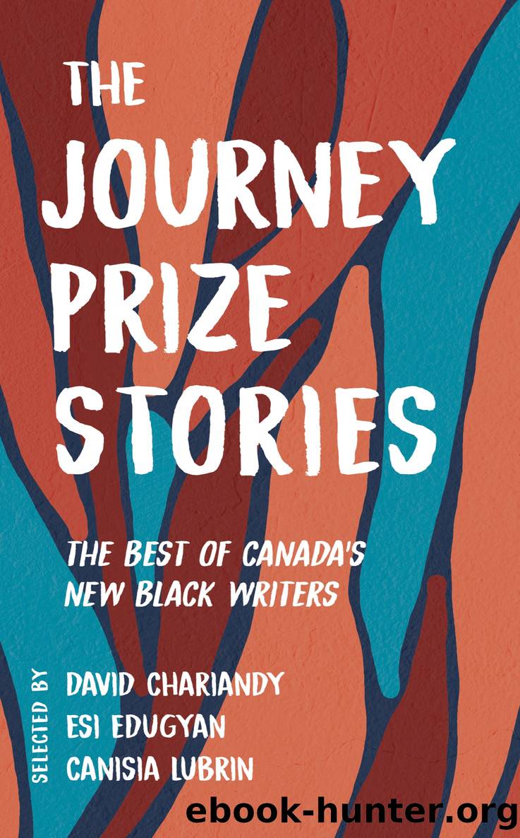 The Journey Prize Stories 33 by Unknown
