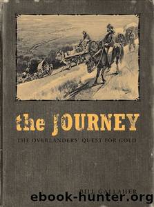 The Journey by Bill Gallaher