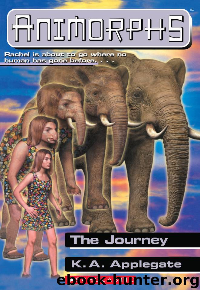 The Journey by K.A. Applegate
