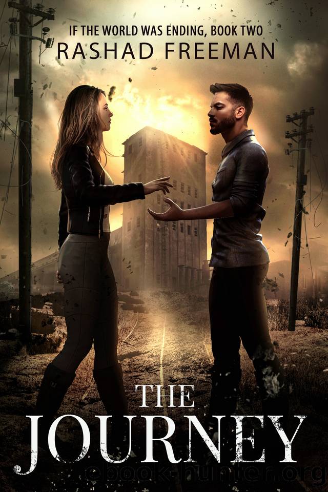 The Journey: If the World was Ending Book Two (A post-apocalyptic romance) by Rashad Freeman