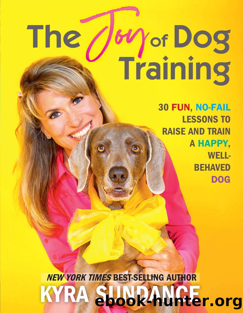 The Joy of Dog Training by Kyra Sundance