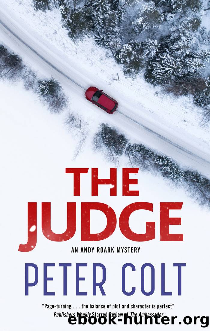 The Judge by Peter Colt