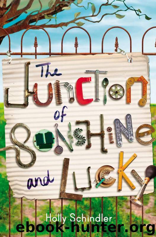 The Junction of Sunshine and Lucky by Holly Schindler