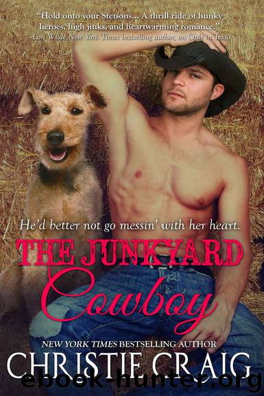 The Junkyard Cowboy (Tall, Hot & Texan Book 3) by Christie Craig