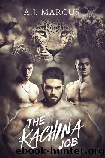The Kachina Job by A.J. Marcus