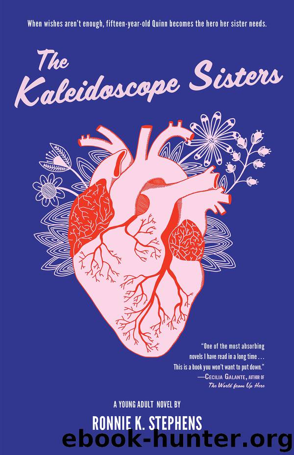The Kaleidoscope Sisters by Ronnie K. Stephens