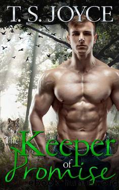 The Keeper of Promise by T. S. Joyce