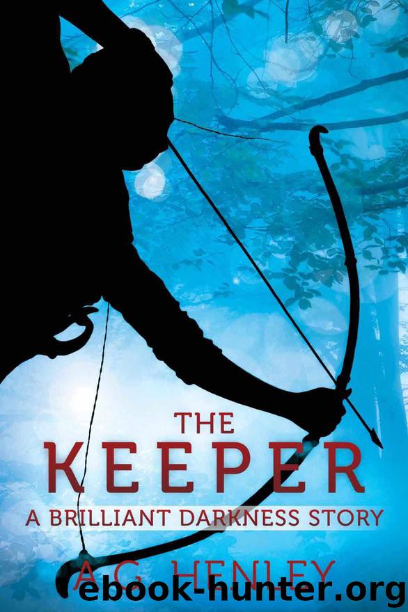 The Keeper: A Brilliant Darkness Story by A.G. Henley
