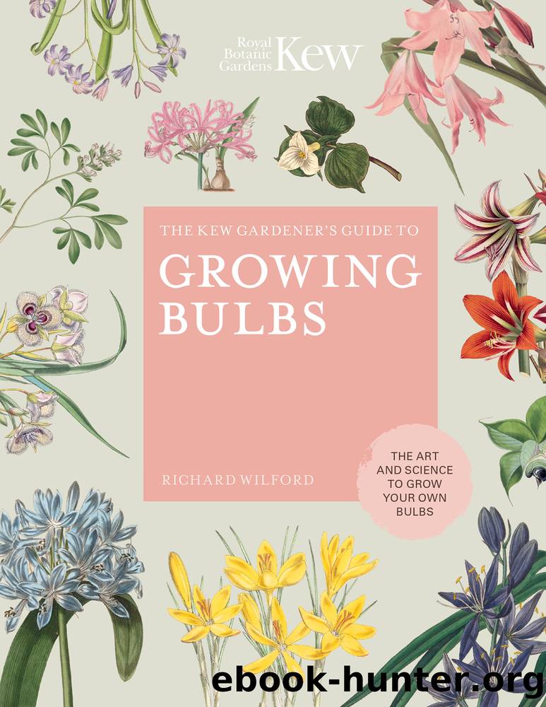 The Kew Gardener's Guide to Growing Bulbs by Richard Wilford
