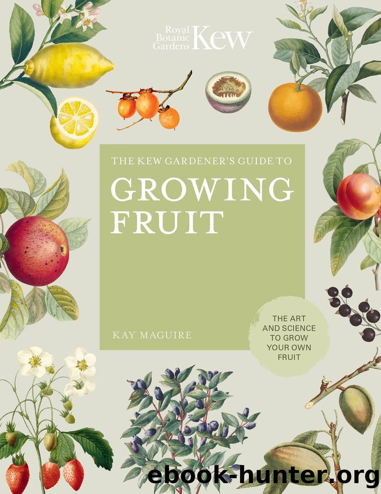 The Kew Gardener's Guide to Growing Fruit by Kay Maguire