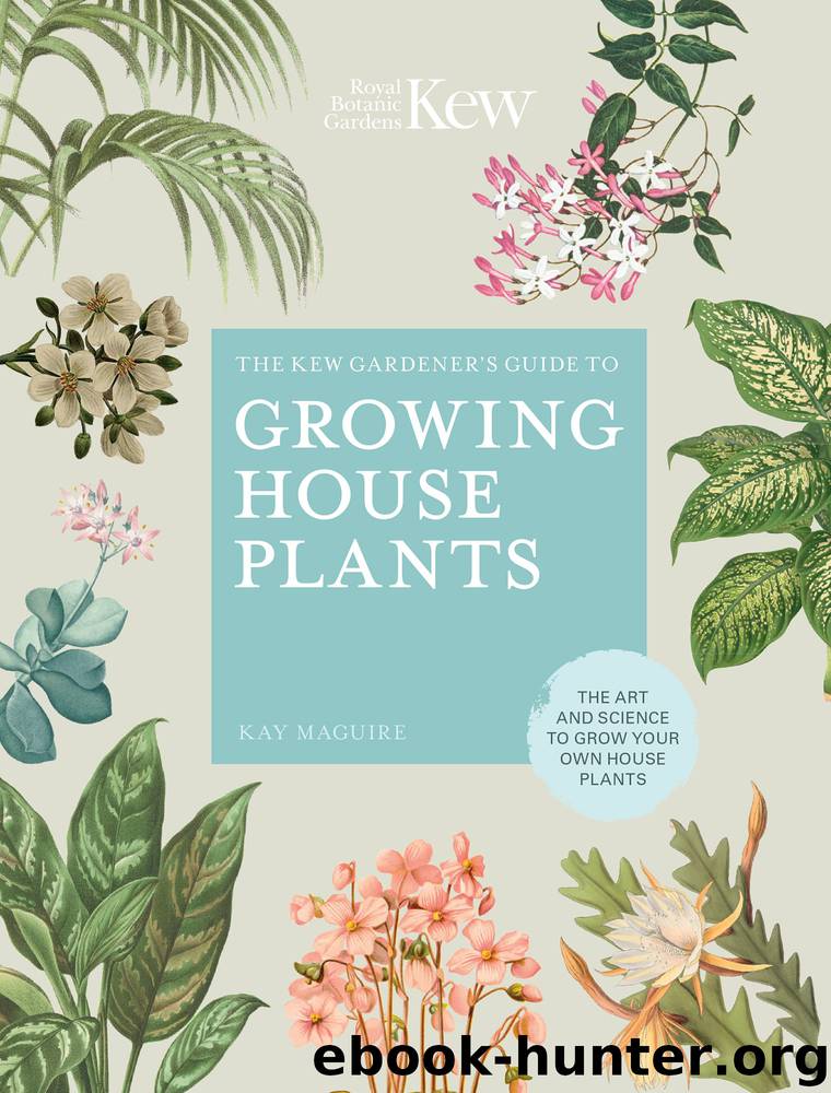 The Kew Gardener's Guide to Growing House Plants by Kay Maguire