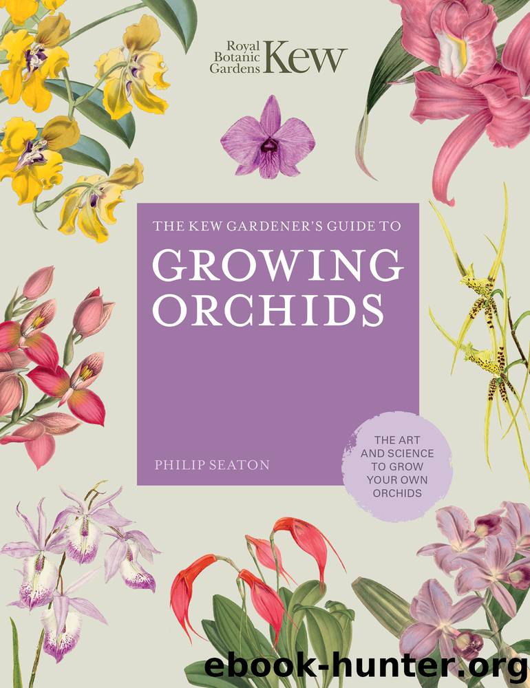The Kew Gardener's Guide to Growing Orchids by Philip Seaton