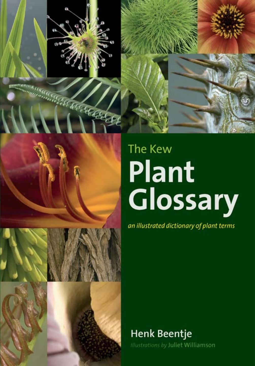The Kew Plant Glossary: an Illustrated Dictionary of Plant Terms by Beentje Henk