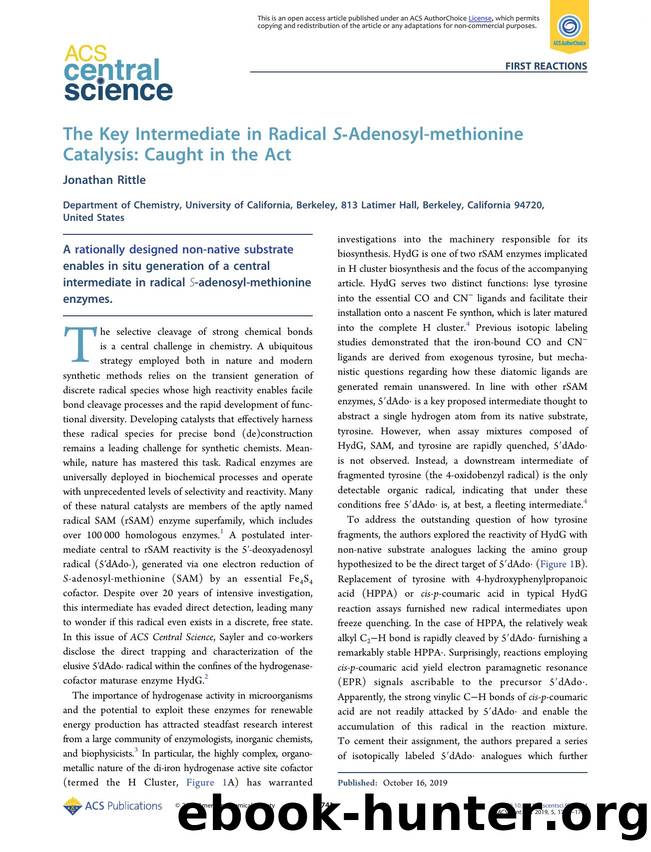The Key Intermediate in Radical SâAdenosyl-methionine Catalysis: Caught in the Act by Jonathan Rittle (ORCID: 0000-0001-6241-6253)