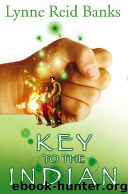 The Key To The Indian by Lynne Reid Banks