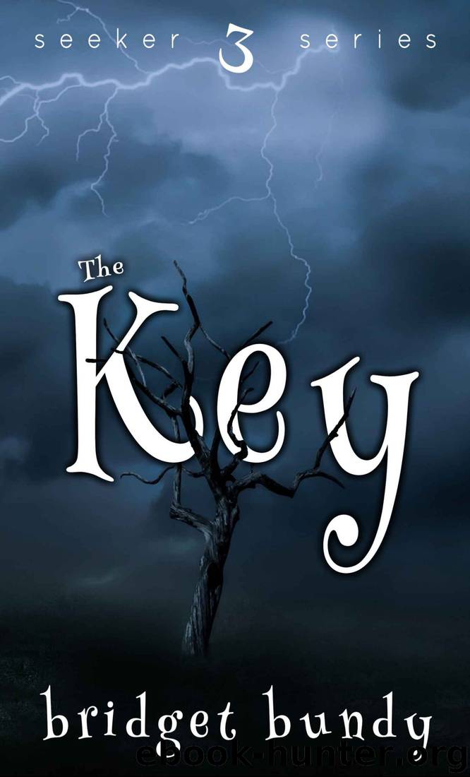 The Key by Bridget Bundy