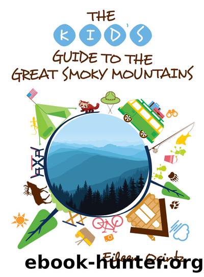 The Kid's Guide to the Great Smoky Mountains by Ogintz Eileen;