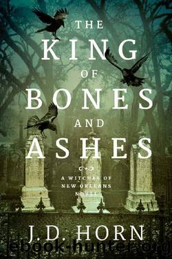 The King of Bones and Ashes by J D Horn