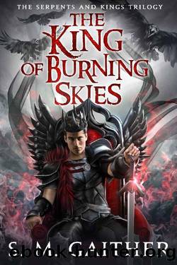 The King of Burning Skies (Serpents and Kings Book 2) by S.M. Gaither