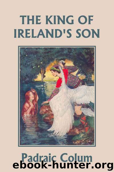 The King of Ireland's Son by Padraic Colum & Willy Pogany
