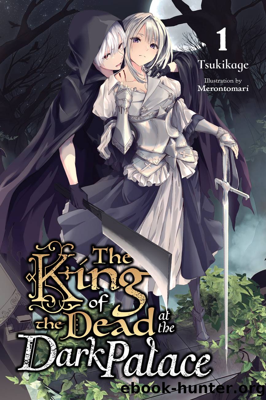 The King of the Dead at the Dark Palace, Vol. 1 by Tsukikage and Merontomari