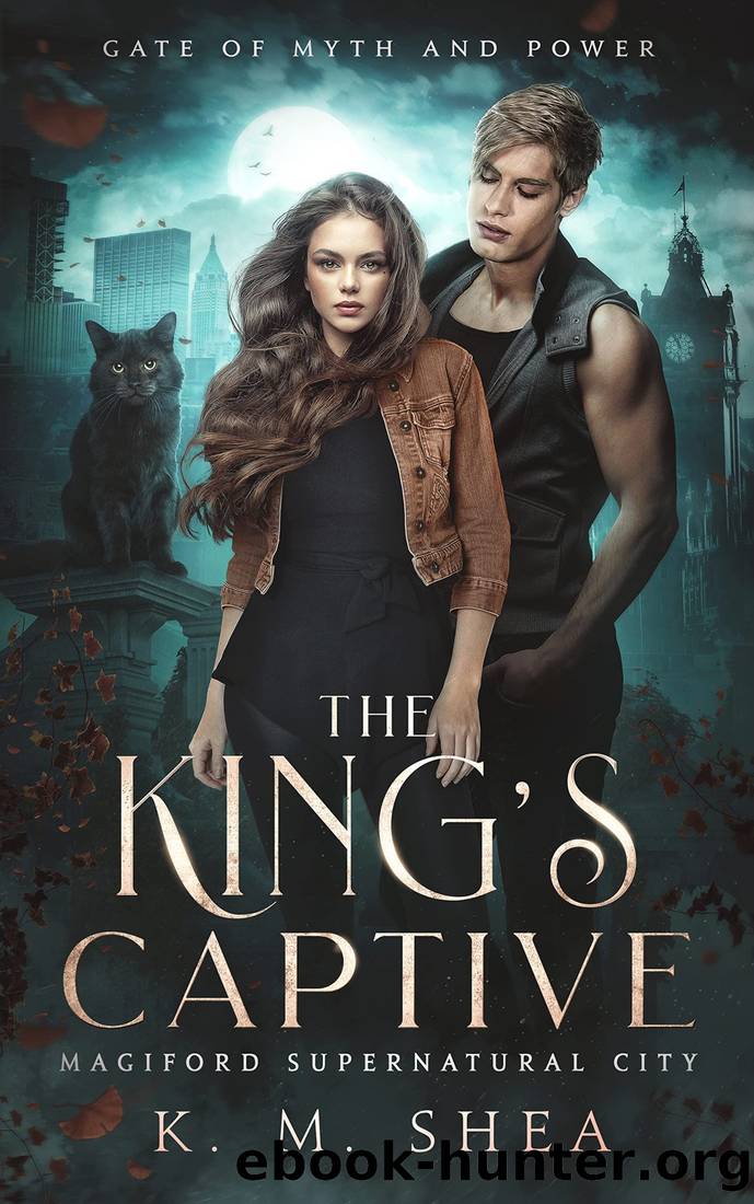The King's Captive by Shea K. M