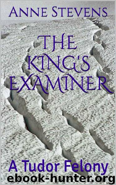 The King's Examiner by Anne Stevens