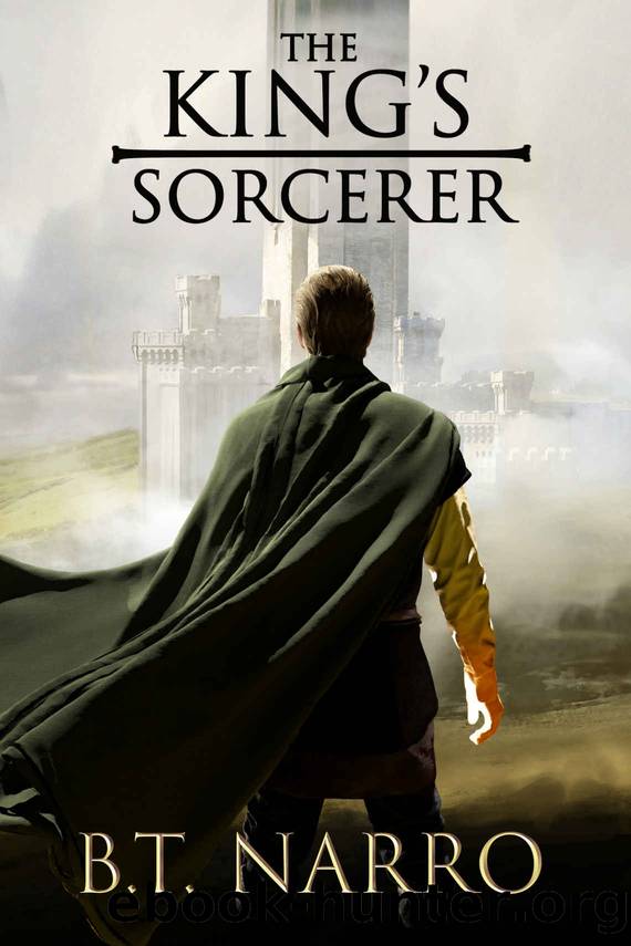 The King's Sorcerer by B T Narro