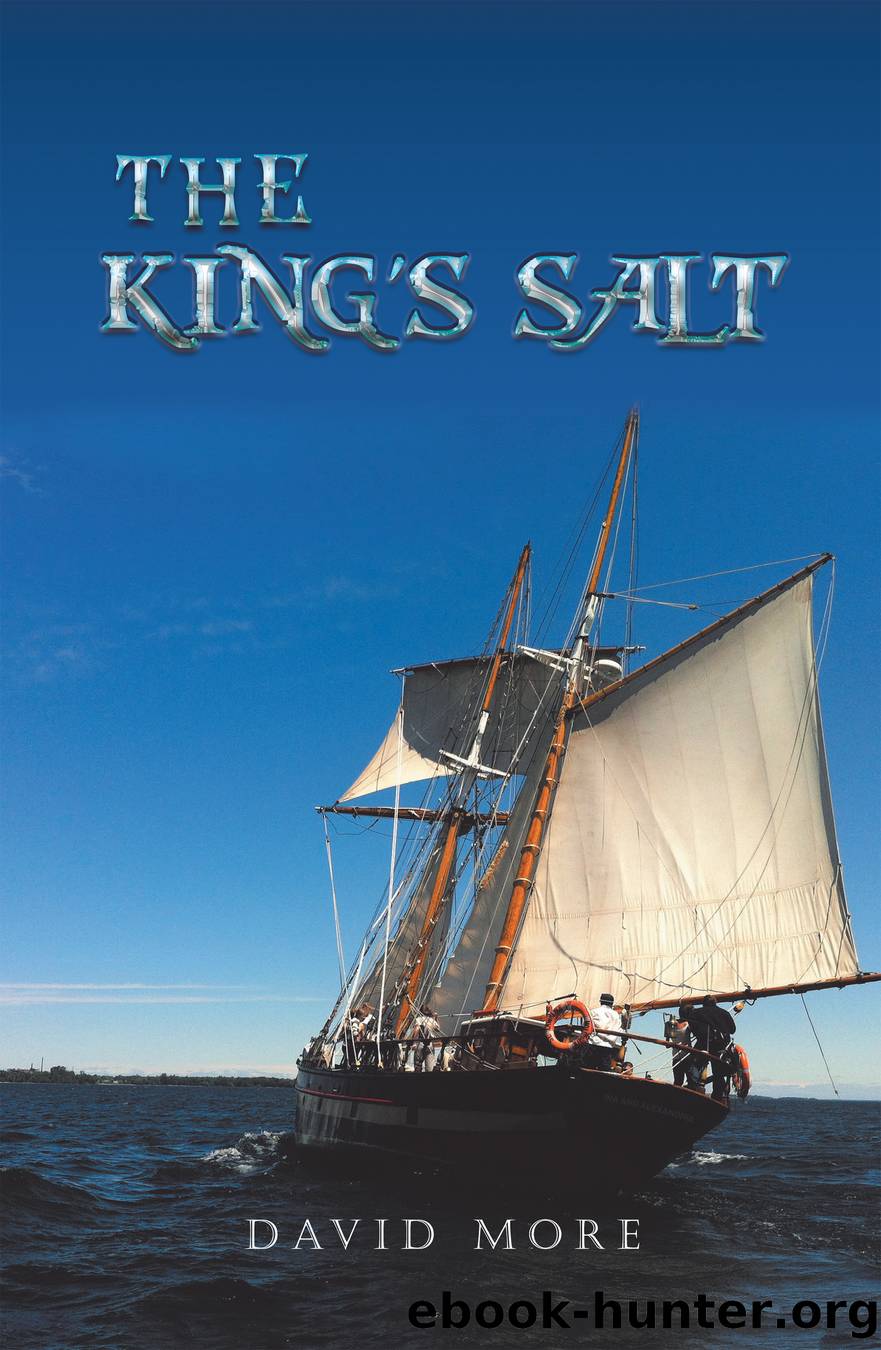 The King’S Salt by David More
