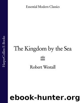 The Kingdom by the Sea by Robert Westall