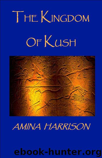 The Kingdom of Kush by Amina Harrison