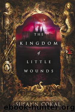 The Kingdom of Little Wounds by Susann Cokal